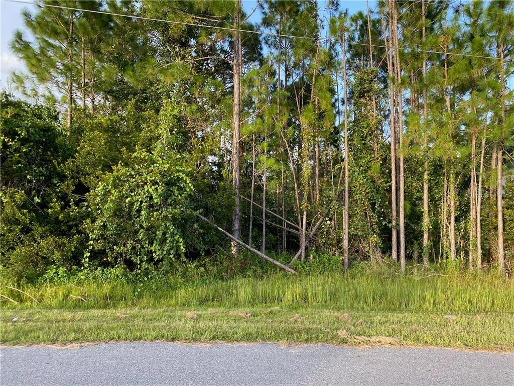 525 Albatross Dr., Poinciana, FL 34759