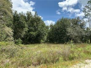 Oil Well Rd., Clermont, FL 34714