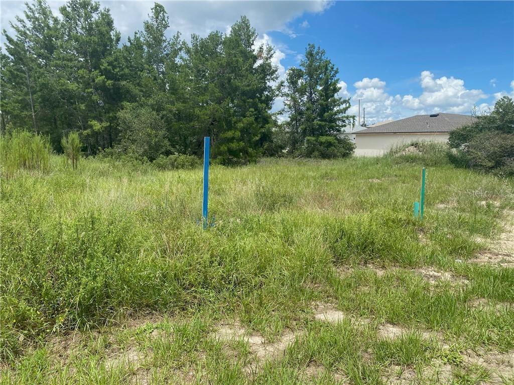311 Elderberry Ct, Poinciana, FL 34759
