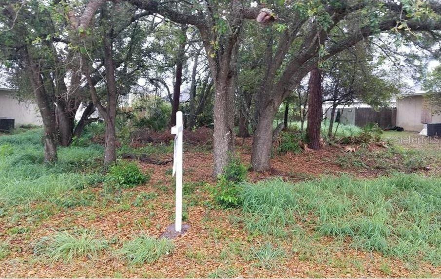 20 Herring Ct., Poinciana, FL 34759