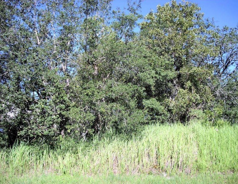 1906 Pike Way, Poinciana, FL 34759