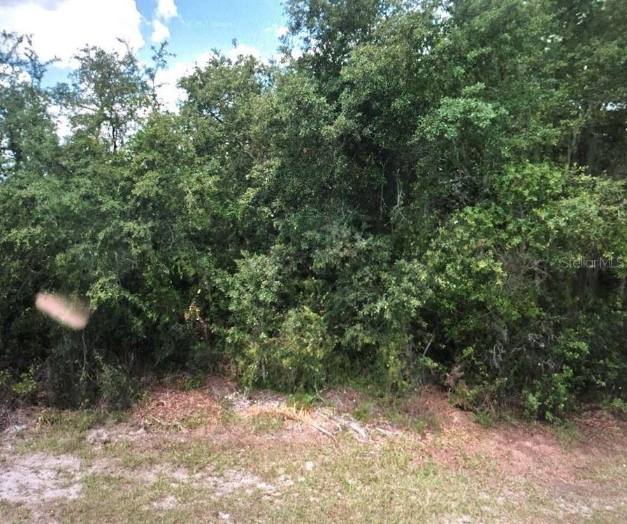 152 Conch Dr., Poinciana, FL 34759