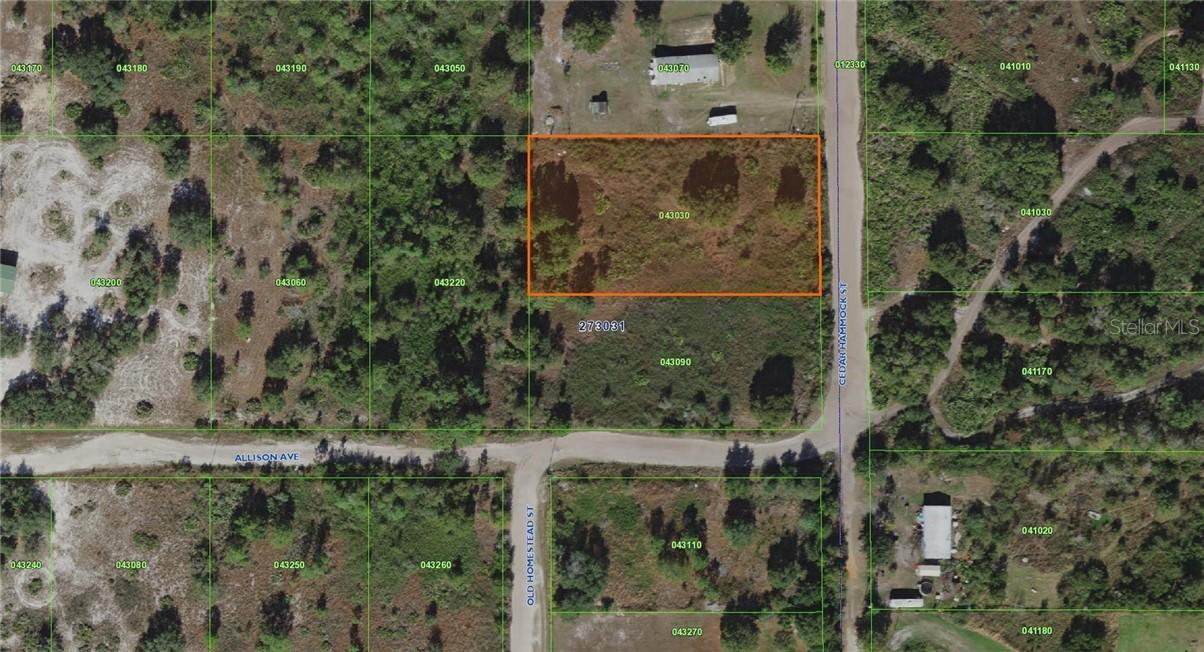 Cedar Hammock St., Lake Wales, FL 33859