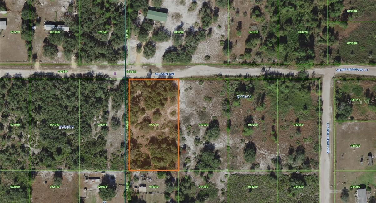 Alison Ave., Lake Wales, FL 33859
