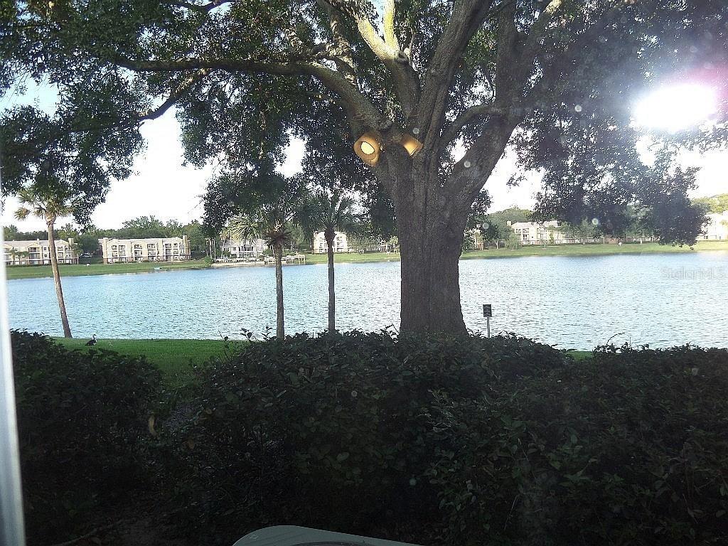1069 S Hiawassee Rd. #1314, Orlando, FL 32835