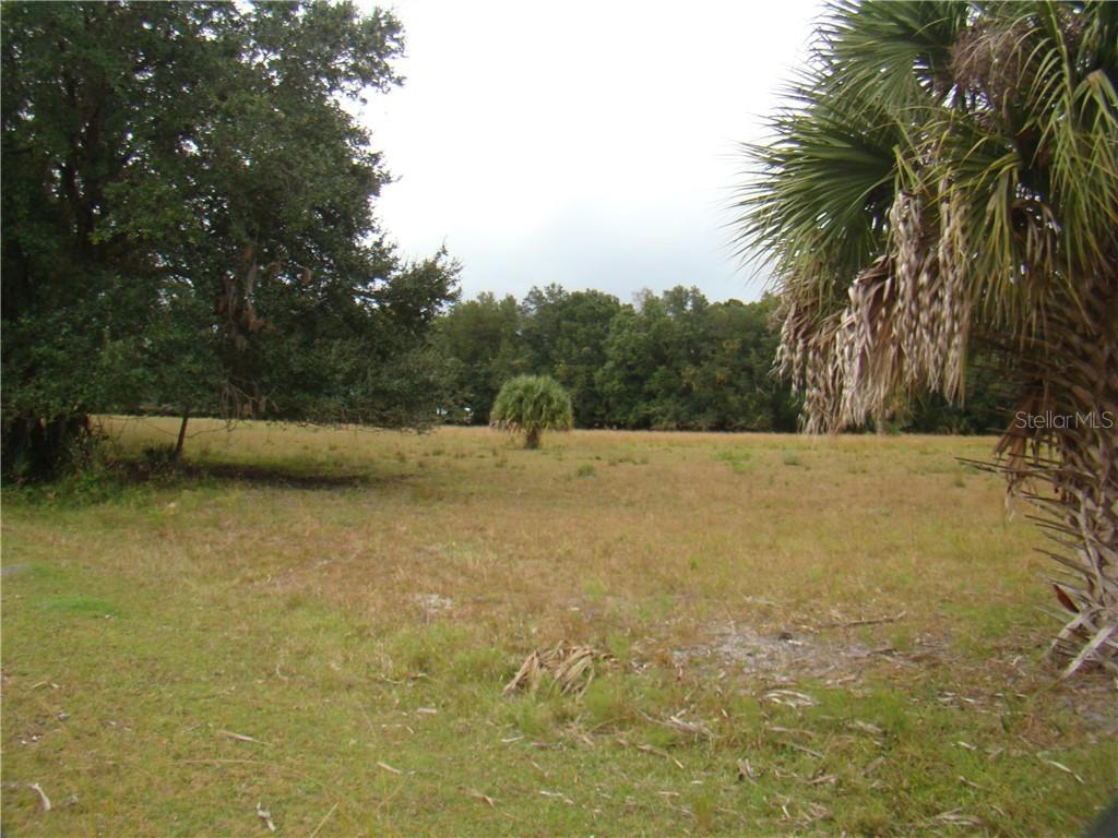 Osceola Polk Line Rd., Davenport, FL 33896