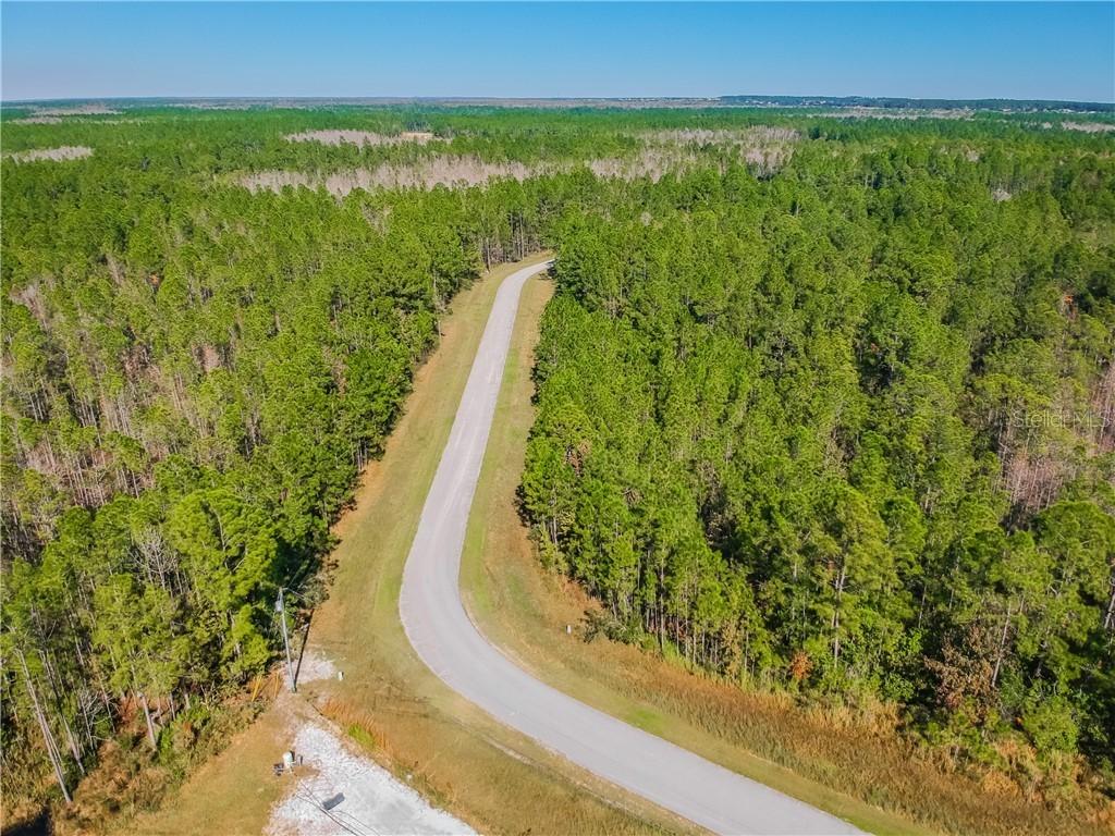 704 Hidden Palms Dr., Davenport, FL 33897