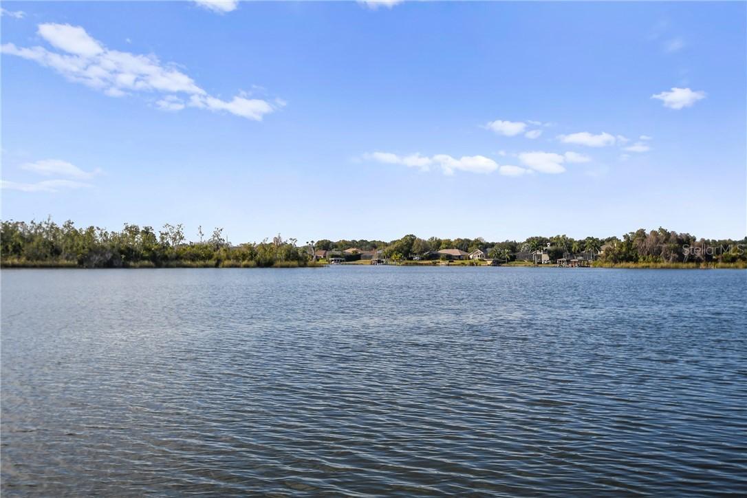 13036 Lake Roper Ct., Windermere, FL 34786