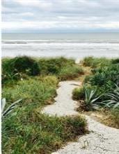2105 Hill St., New Smyrna Beach, FL 32169