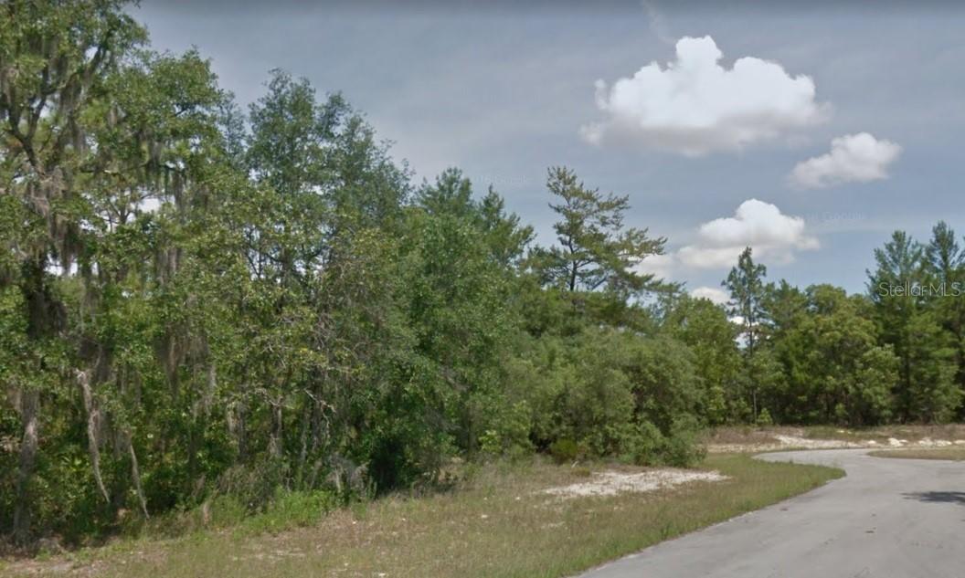 Sw 153 Ln., Ocala, FL 34473