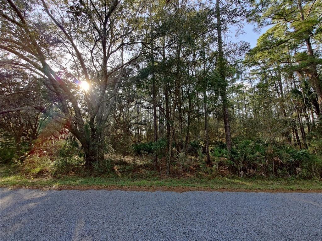 Arapaho Tr., Kissimmee, FL 34747