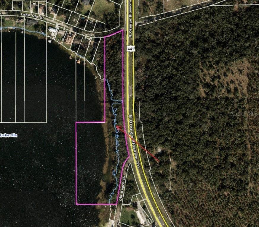 6950 Lake Ola Dr., Mount Dora, FL 32757