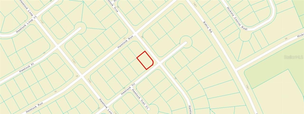 Hemolock Tail / Trace, Ocala, FL 34472