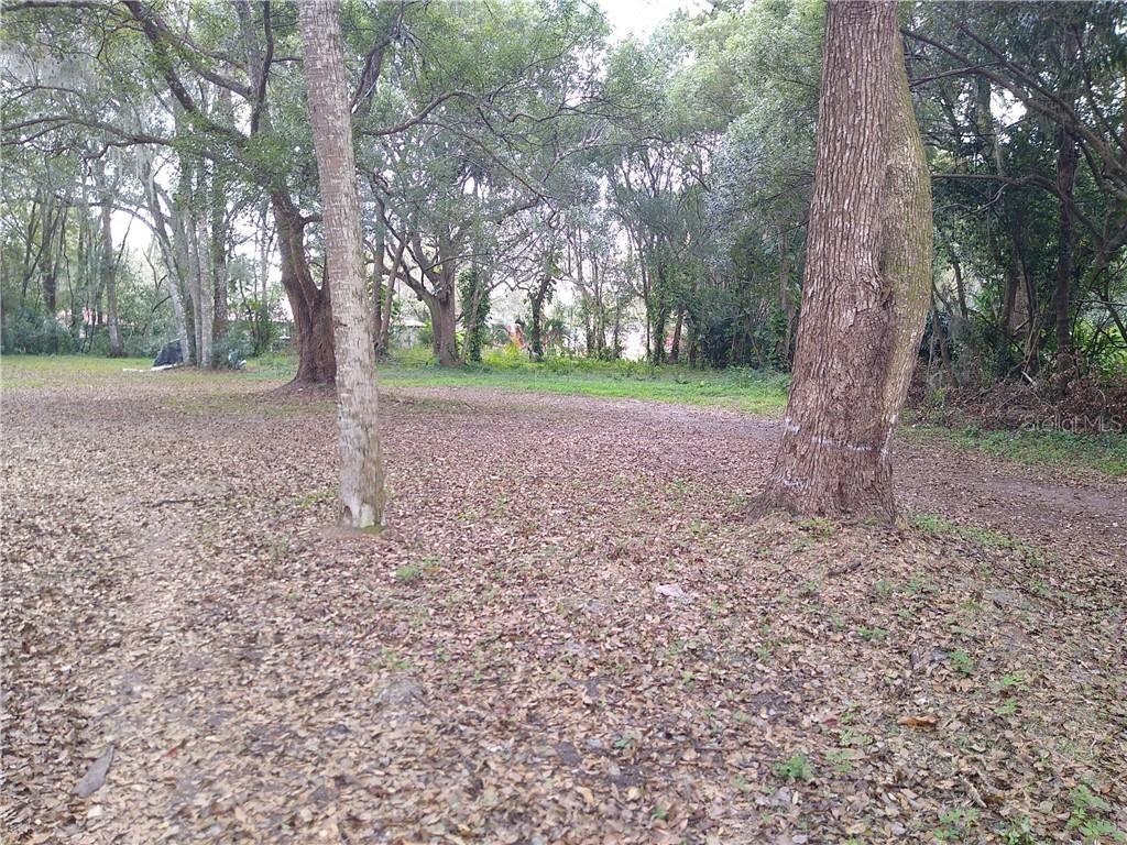 King St., Oviedo, FL 32765