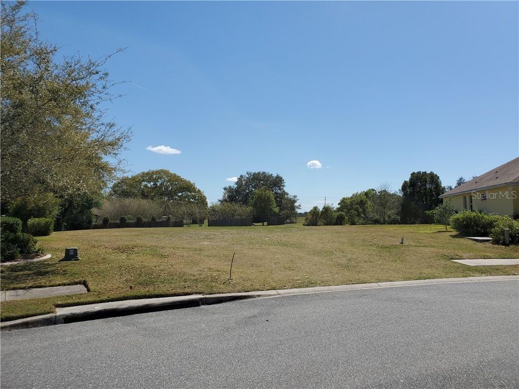 3020 New Haven Pl., Mount Dora, FL 32757
