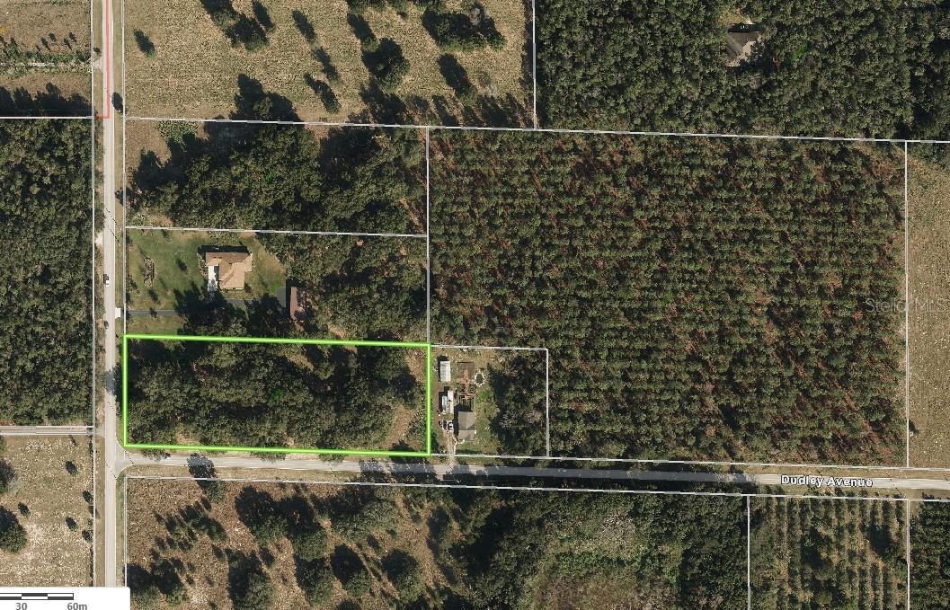 xx Dora Dr., Mount Dora, FL 32757