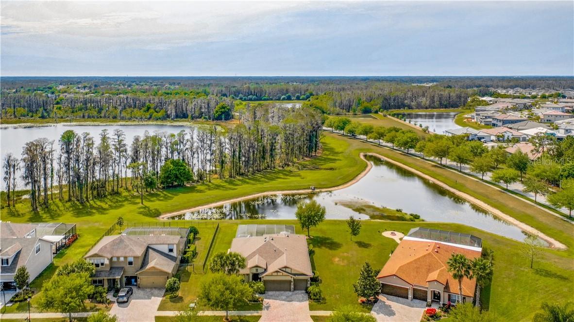 3211 Mapleridge Dr., Lutz, FL 33558