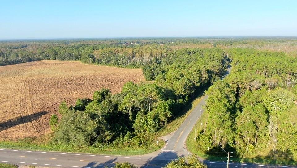 Berry Groves Rd., Clermont, FL 34711