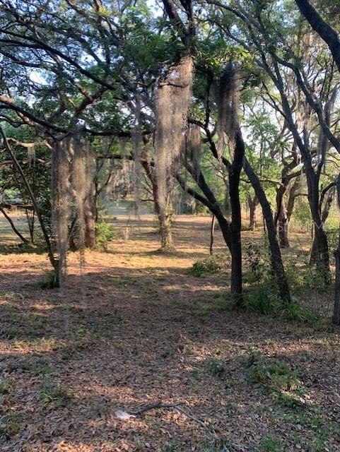 Pitt St., Clermont, FL 34711