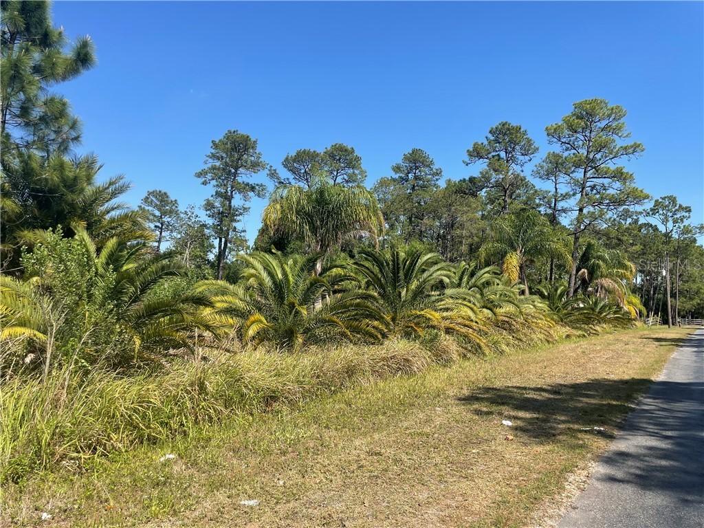 N Goodman Rd., Kissimmee, FL 34747