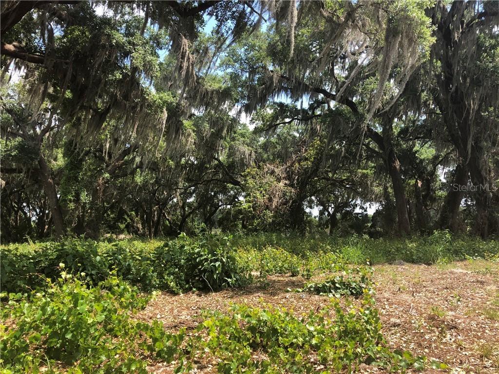 449 Long And Winding Rd., Groveland, FL 34737