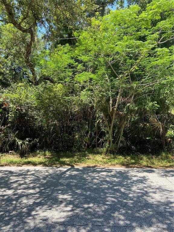 Spring Ave. #LOT 1, Oviedo, FL 32765