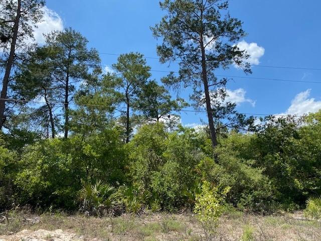 Holly Branch Rd., Eustis, FL 32736