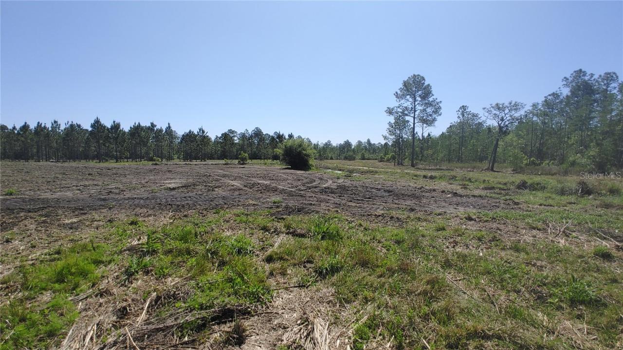 Lot 13 Omega Ranch Rd., New Smyrna Beach, FL 32168
