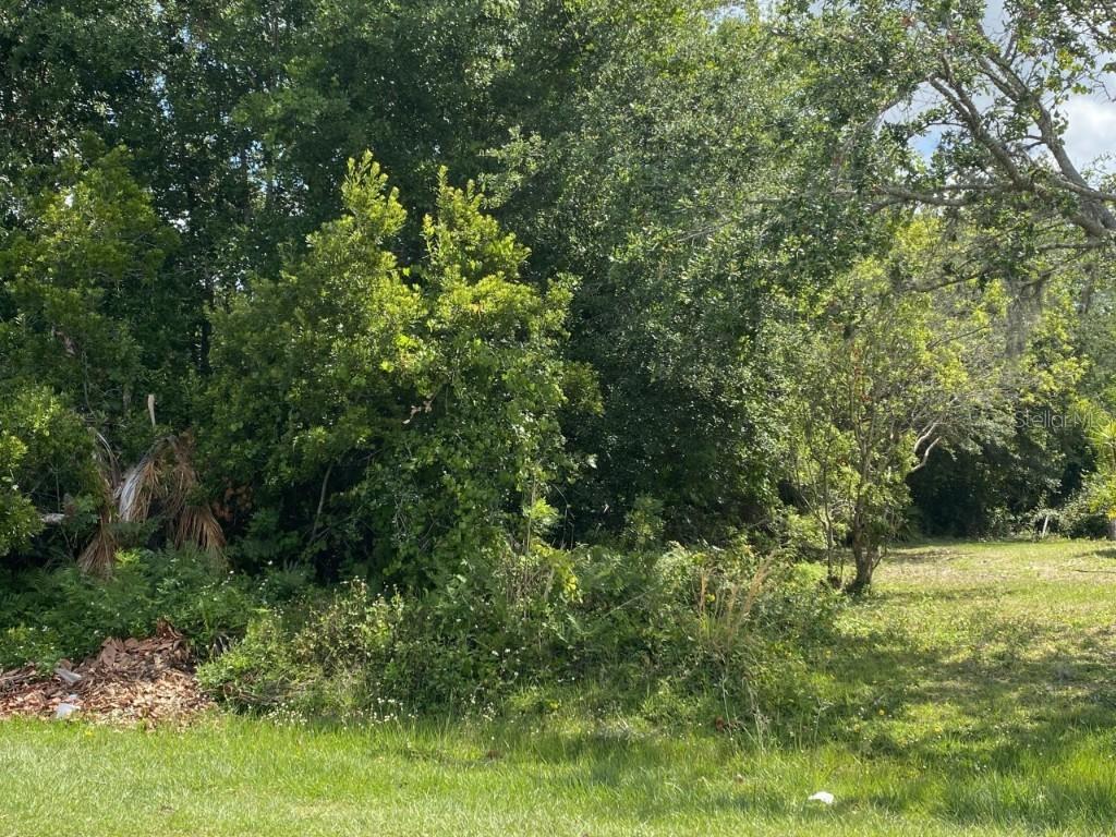 Mediterranean Ct., Kissimmee, FL 34758