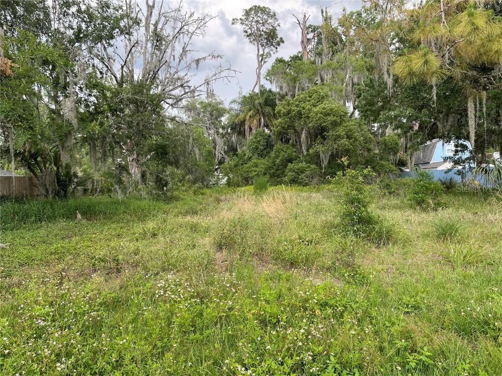 Vincent Dr., Mount Dora, FL 32757