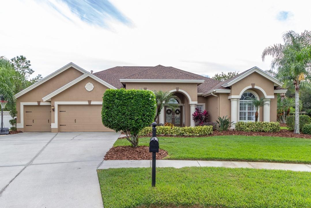 27740 Water Ash Dr., Wesley Chapel, FL 33544
