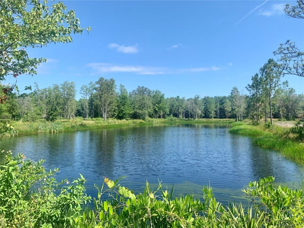 Freedom Rd., Kissimmee, FL 34746