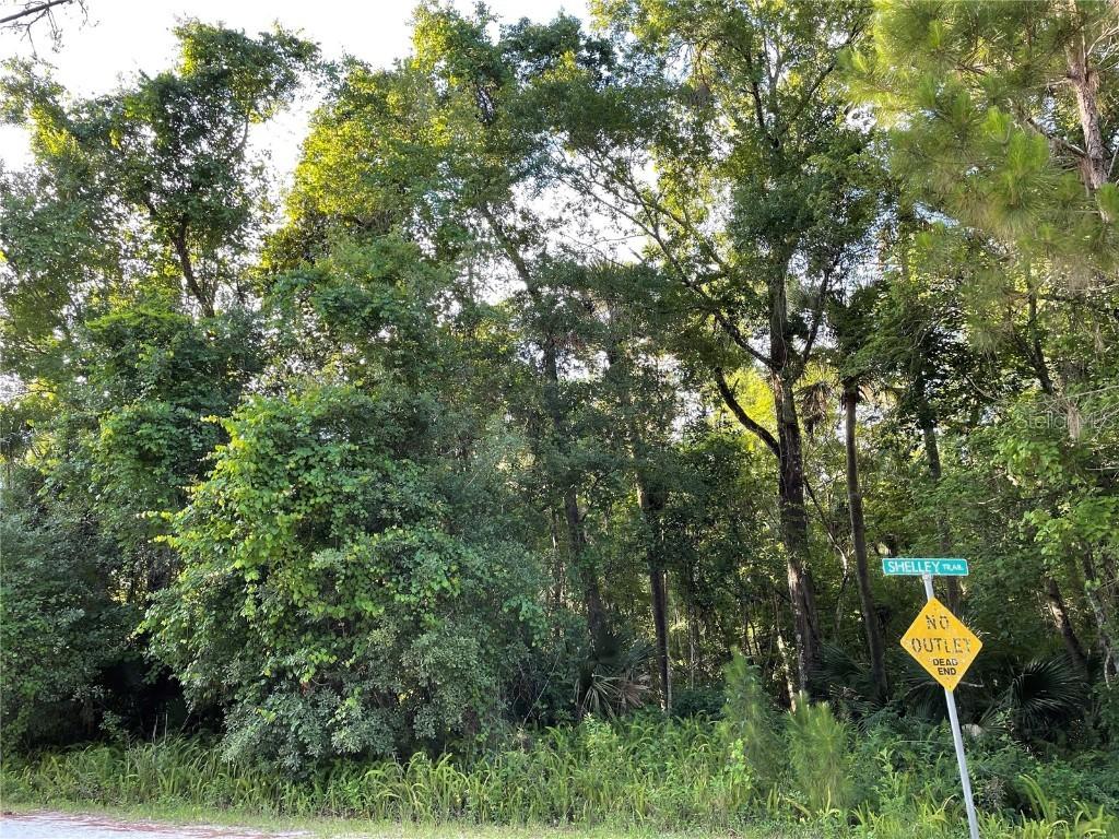 Shelley Tr. #Lot 13, Kissimmee, FL 34747