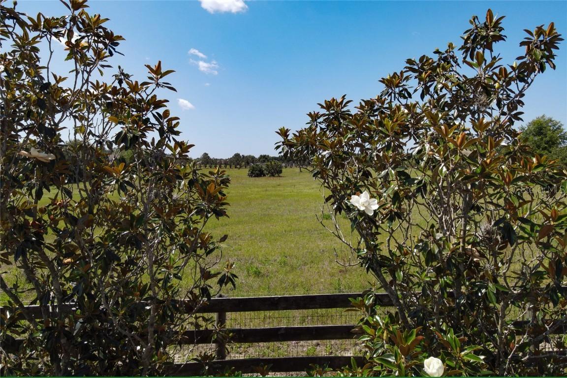 20902 Camphortree Rd., Eustis, FL 32736