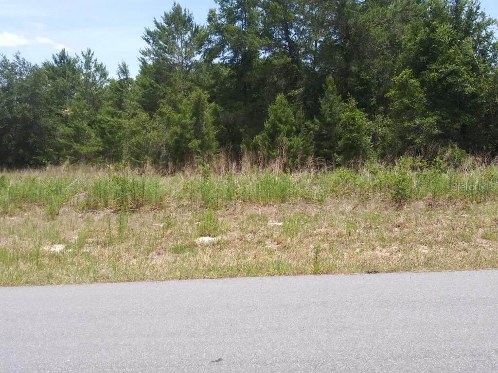 Sw 20th Court Rd, Ocala, FL 34473
