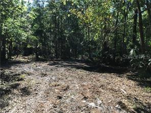 Marjorie Blvd., Longwood, FL 32750