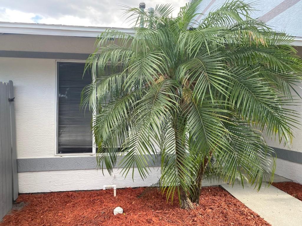 951 Butterfly Blvd., Winter Garden, FL 34787