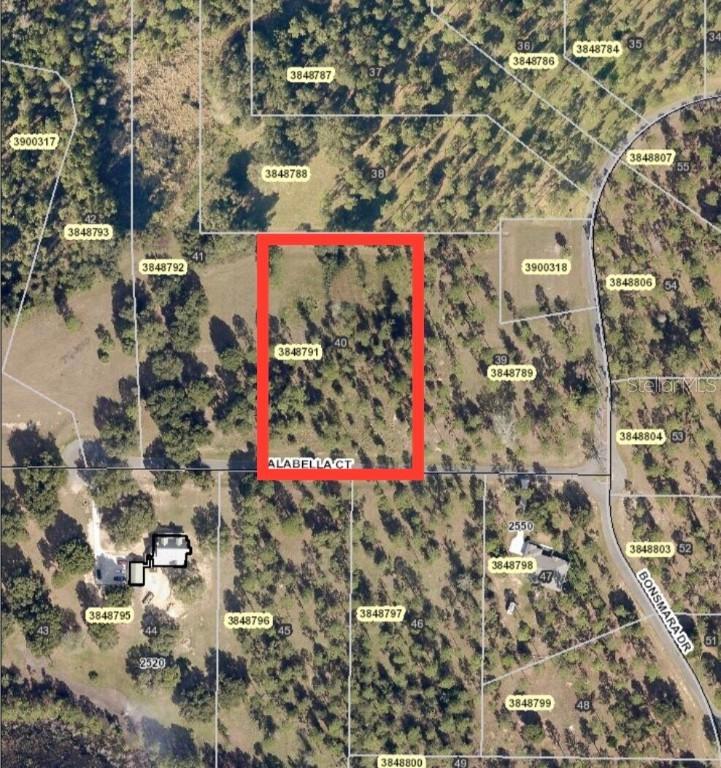Falabella Ct., Groveland, FL 34736