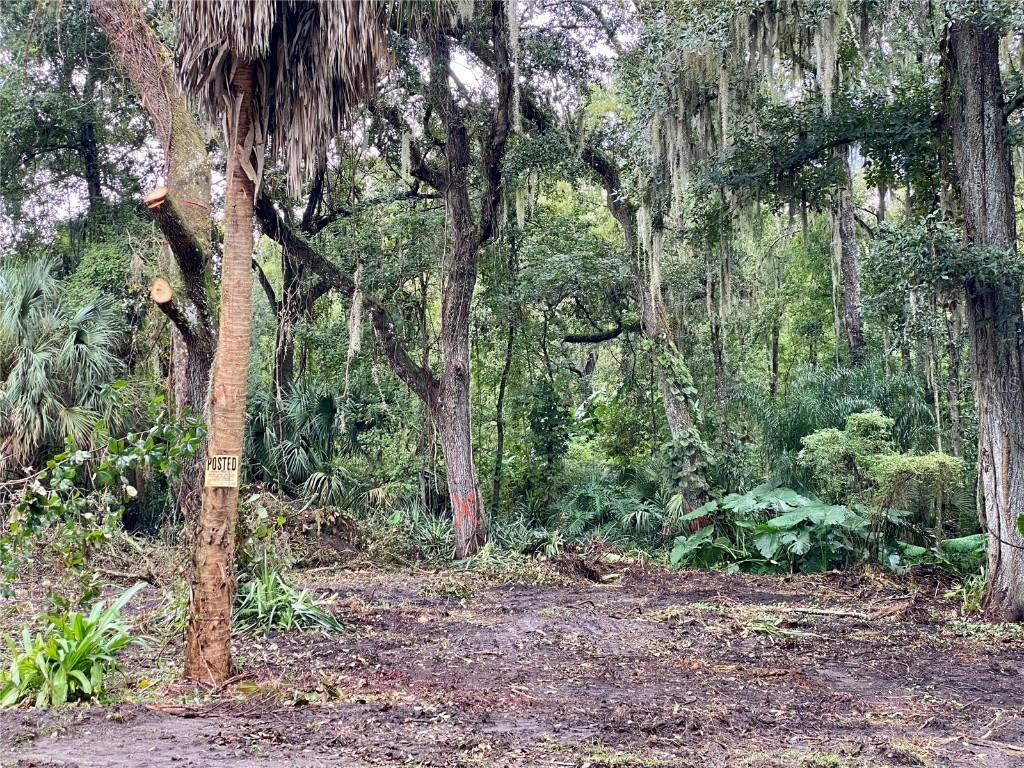 Hubbard St., Leesburg, FL 34748