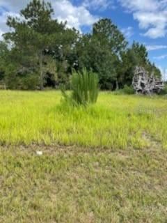2055 Pecos Dr., Poinciana, FL 34759