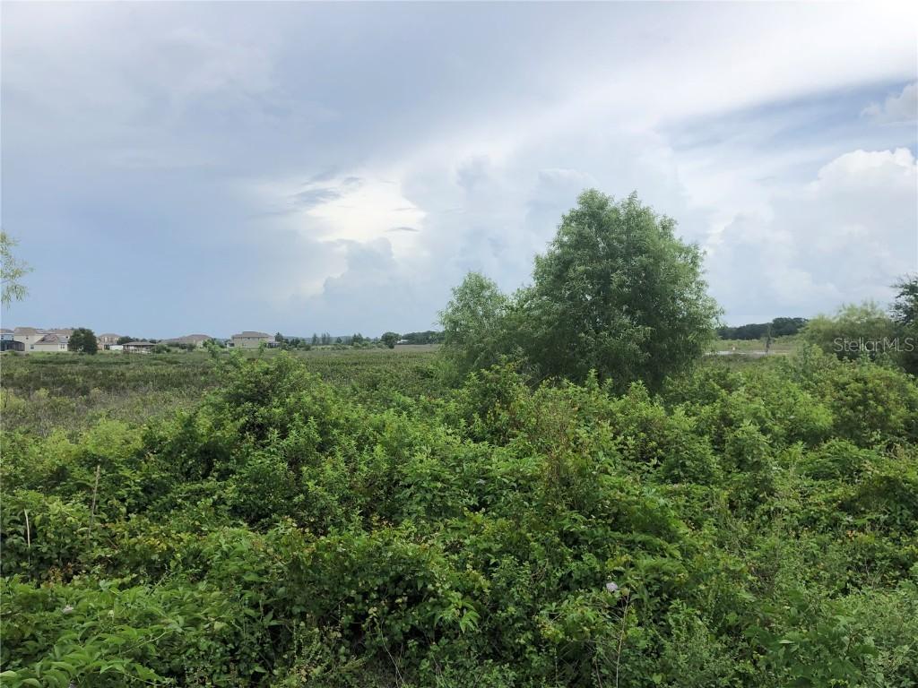 State Road 50, Clermont, FL 34711