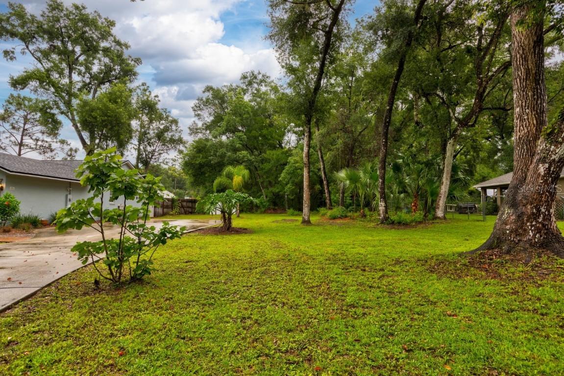 Niles St., Sorrento, FL 32776