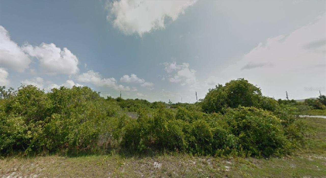 14103 Fort Myers Null Ave., Port Charlotte, FL 33981