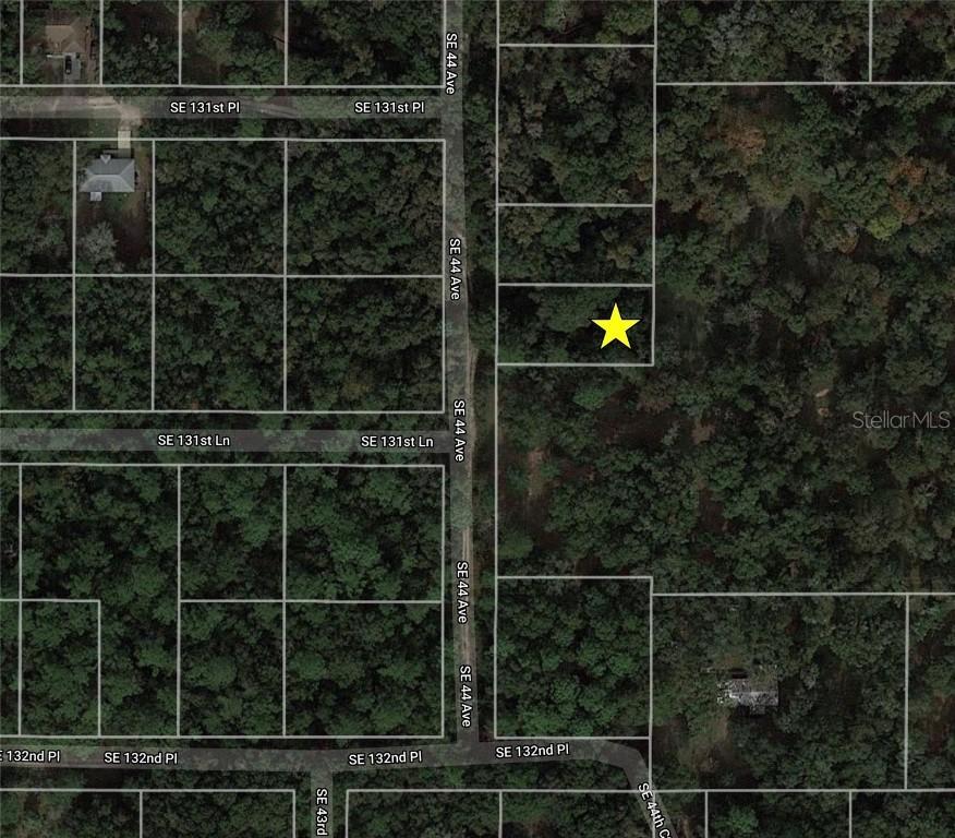 Se 44th Ave, Belleview, FL 34420