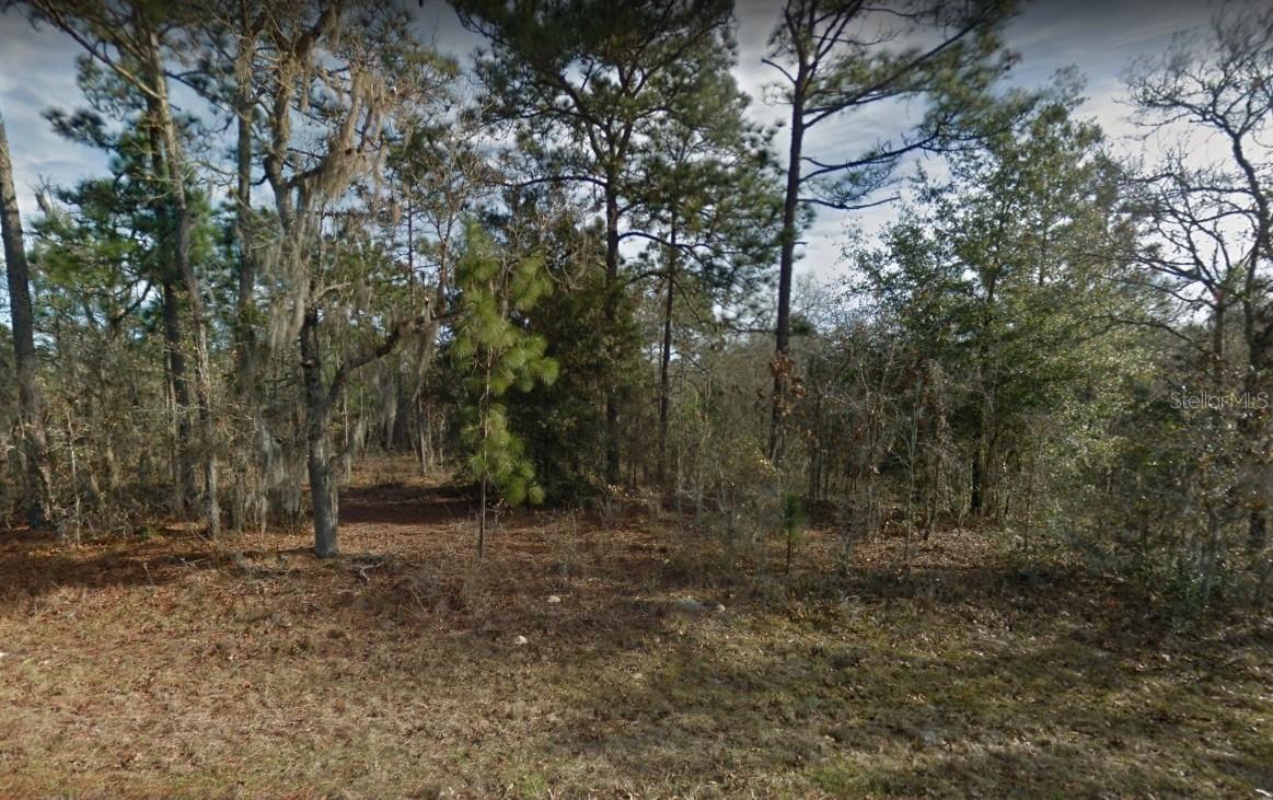 NE 154th Ave., Williston, FL 32696
