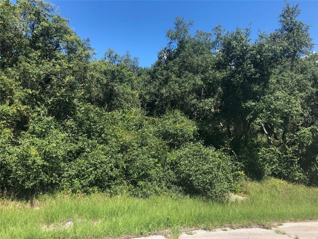 1206 Vernon Way, Poinciana, FL 34759