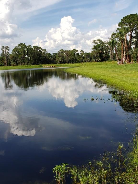 3601 Hidden River Ln., Tavares, FL 32778