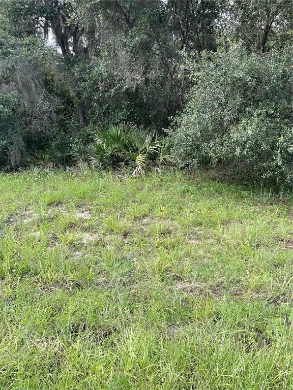 Marion Oaks Unit 7 Lot 23, Ocala, FL 34473