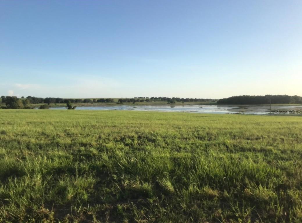 10179 Savannah Ridge Ln., Winter Garden, FL 34787