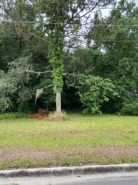 14 W 16th St., Apopka, FL 32703